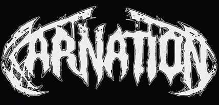 Carnation