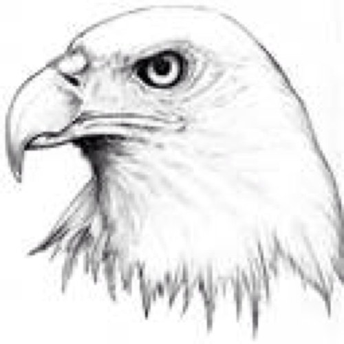Call Sign Eagle